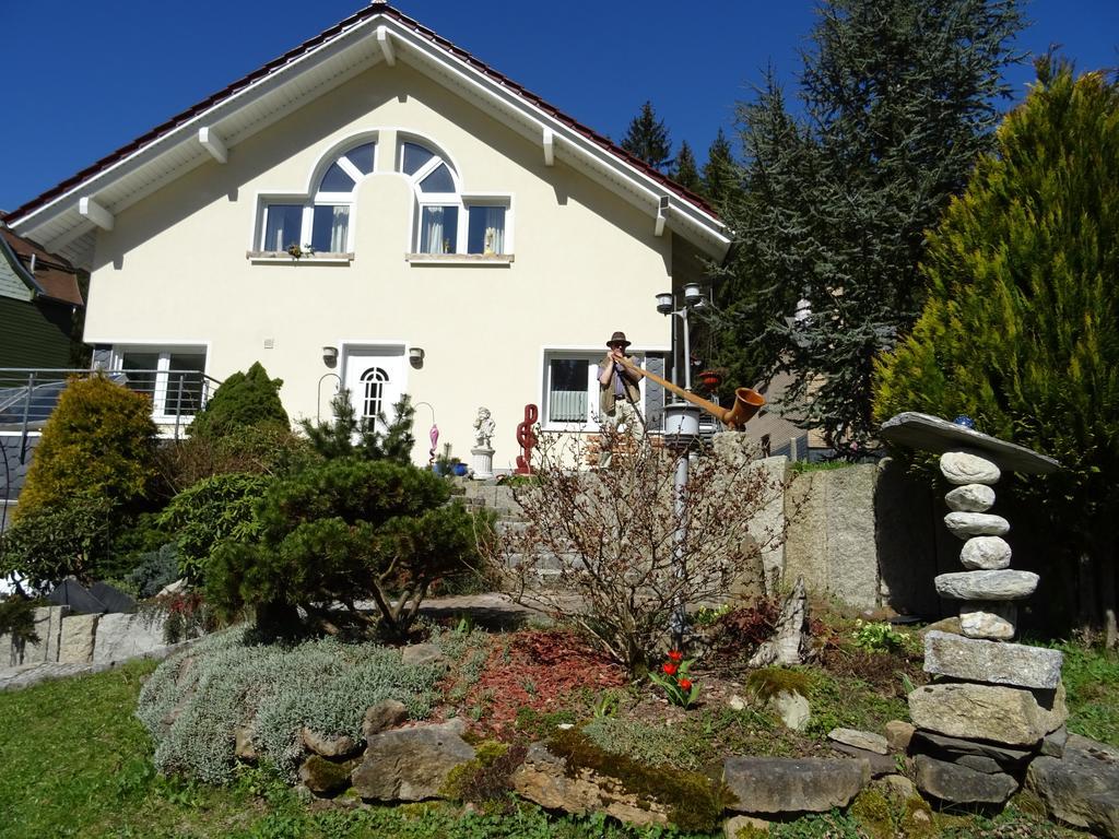 Ferienwohnung Hermannstein Ilmenau Exterior foto
